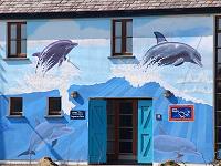 Kilrush Dolphin Centre